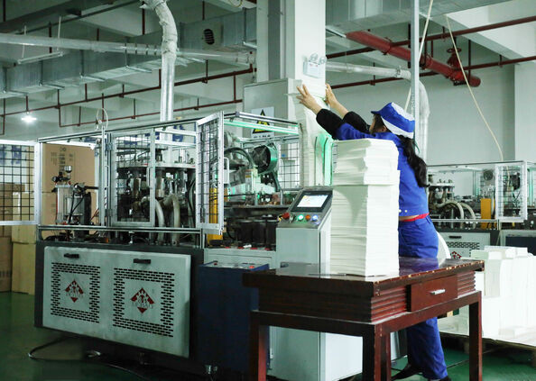 Hunan Victory Paper And Plastic Packing Co., Ltd.